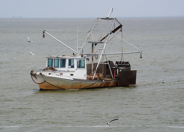 Texas Gulf Coast Fishing Industry Struggles After Hurricane Harvey